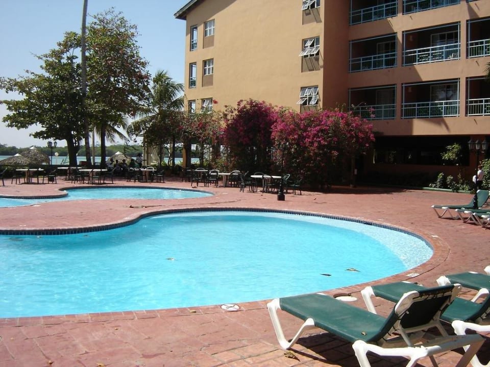 Blick auf den Pool whala!boca chica