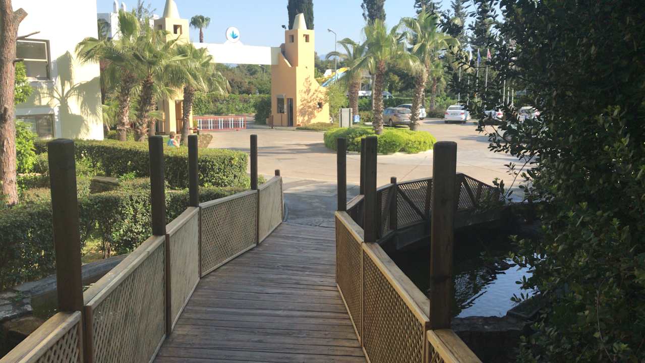 Sonstiges Asteria Collection Side