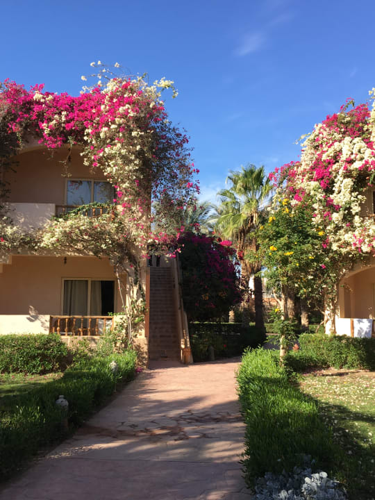 Gartenanlage Dream Lagoon Resort & Aqua Park