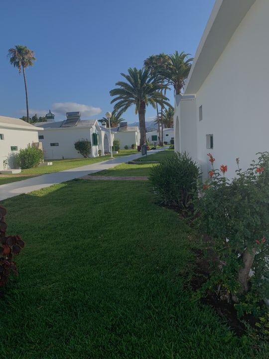 Gartenanlage Canary Garden Club