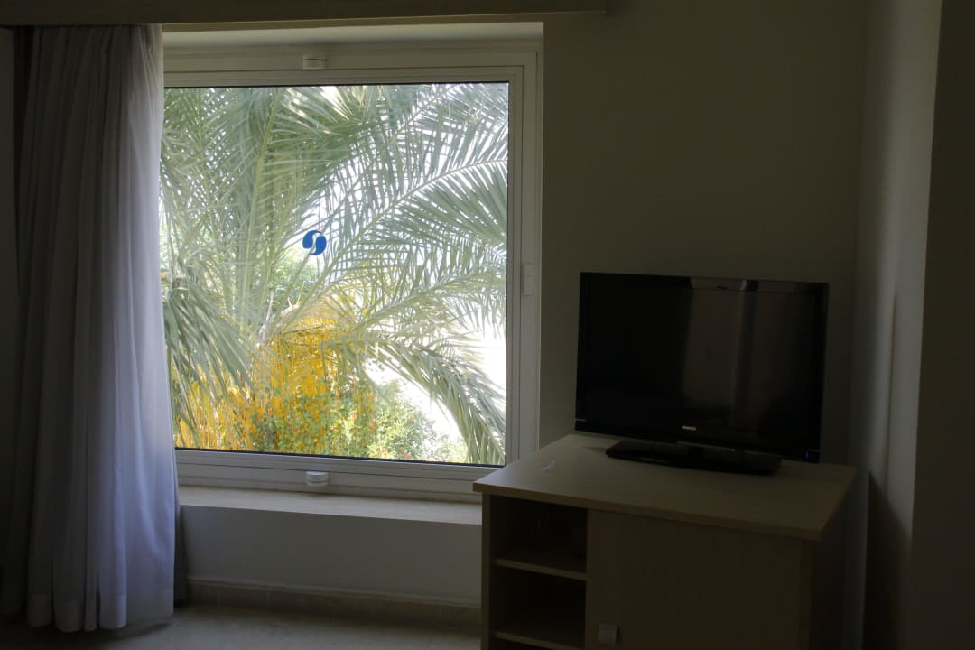 Große Fenster  PALOMA Perissia