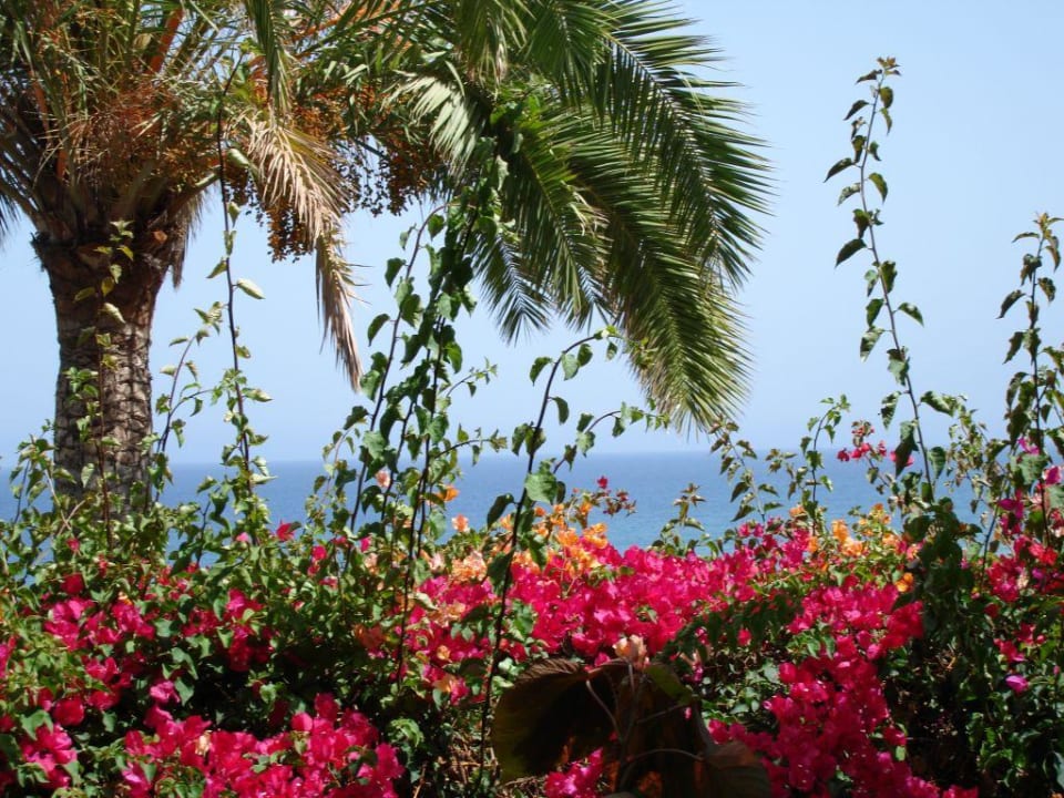 Blick aufs Meer Apartamentos Nogalera