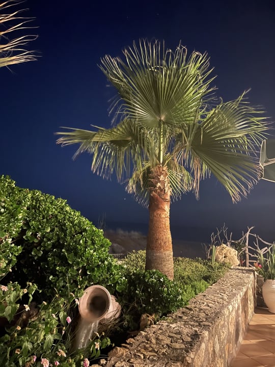 Gartenanlage Hotel Kathrin Beach