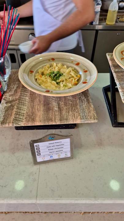 Gastro Seashell Vega