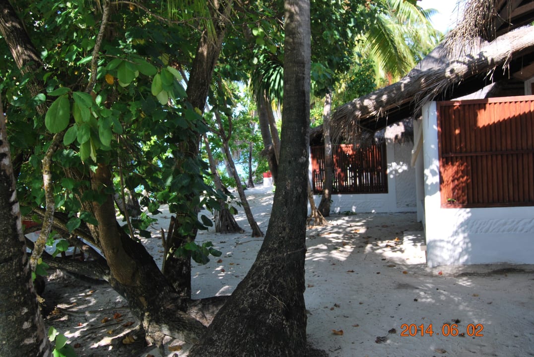 Schöner Weg zum Abendessen Angaga Island Resort