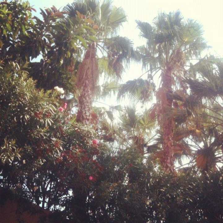 Ogród Capo dei Greci Taormina Coast Resort Hotel & Spa