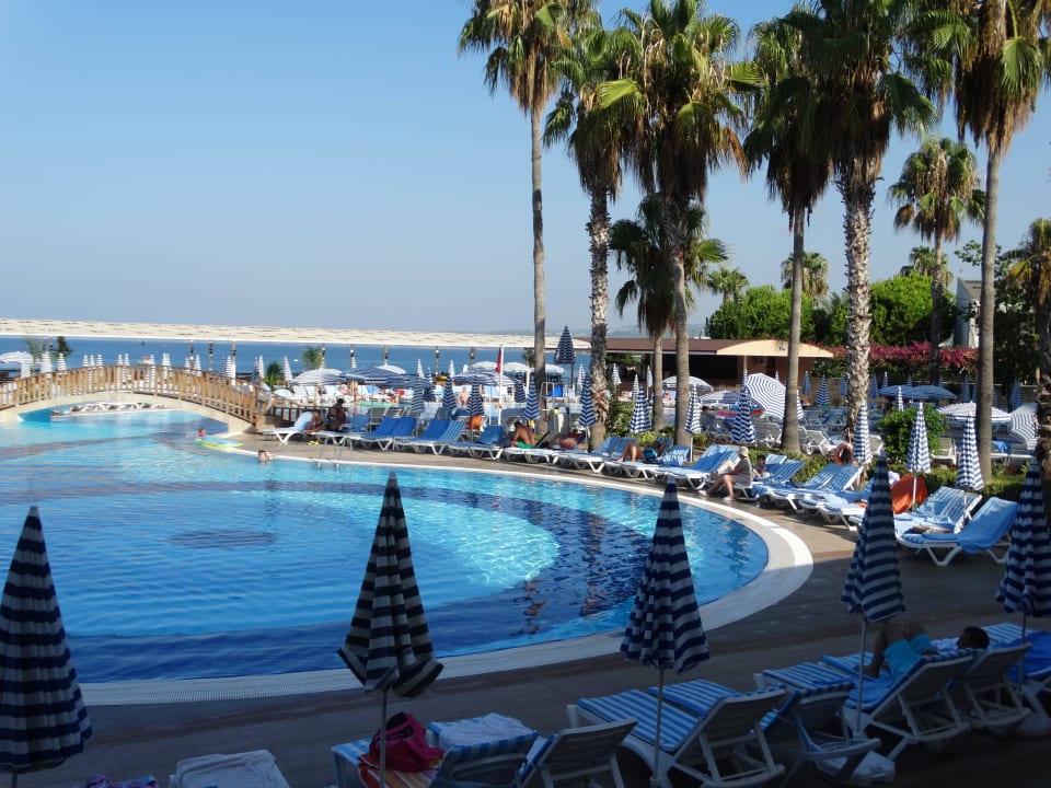Am Pool Lonicera Resort & Spa Hotel