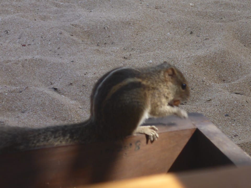 Strand Pandanus Beach Resort & Spa