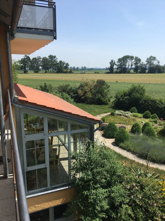 Blick auf den Frühstücksraum Landhotel Larenzen