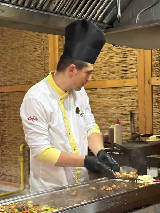 Gastro Delphin BE Grand