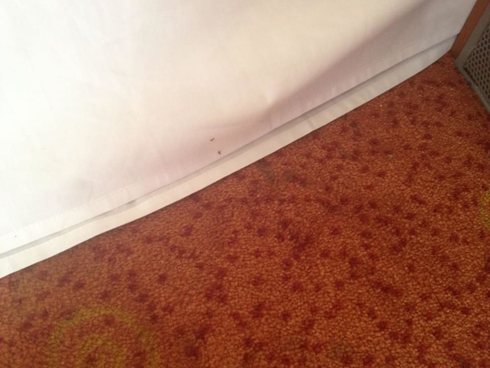 Ameisen Hotel Golden Lake Resort