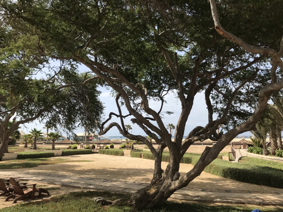 Außenansicht Hotel Morabeza