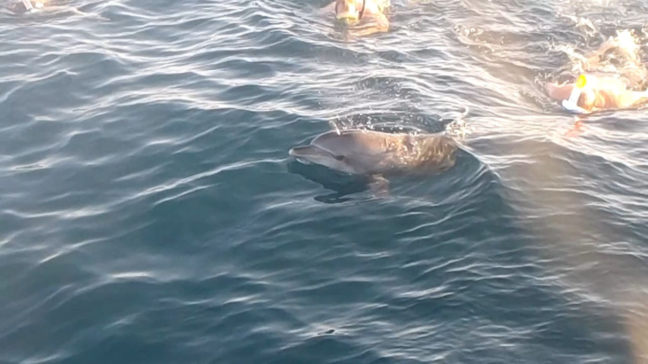 Strand Pickalbatros Sands Hotel - Port Ghalib