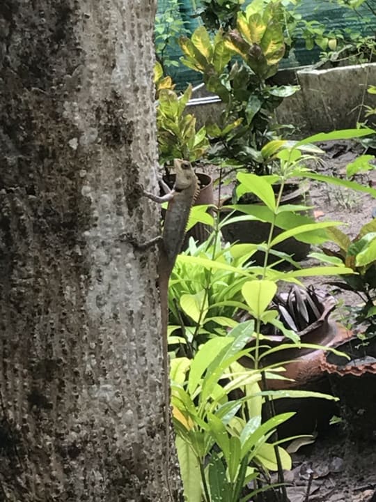 Sonstiges Kuredu Island Resort & Spa