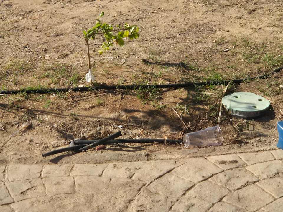 Gartenanlage Coral Hills Resorts & SPA