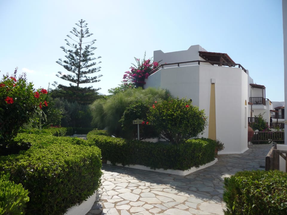 Gartenanlage Alexander Beach Hotel & Village Resort