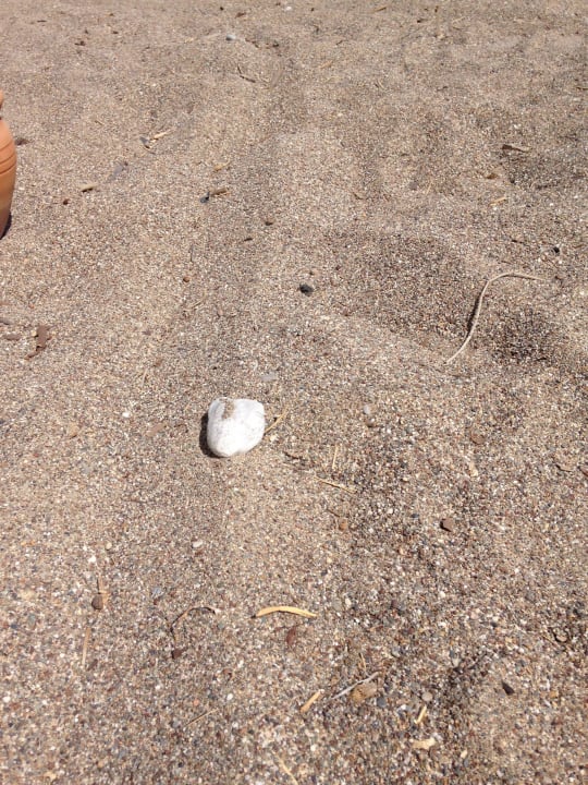 Strandsand Sultan of Dreams Hotel & Spa