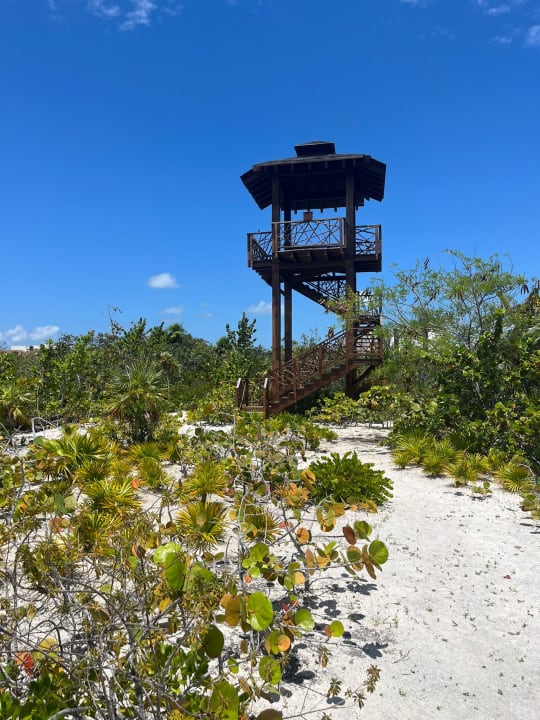 Gartenanlage Secrets Playa Mujeres Golf & Spa Resort - Adults only