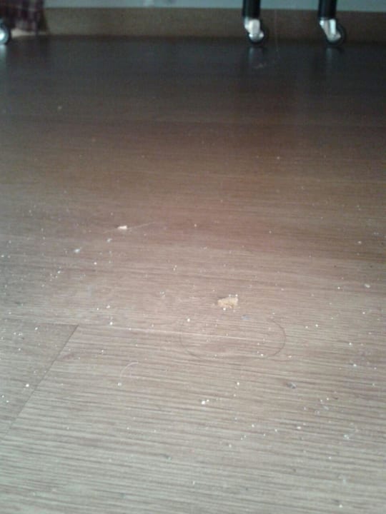 Sauberkeit Estival Torrequebrada