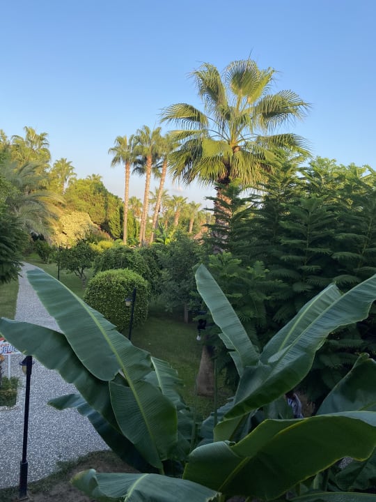 Ausblick Bella Resort & Spa