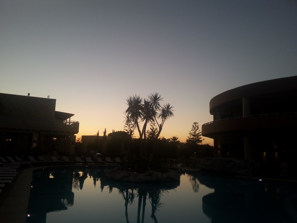 Von der Poolbar Cactus Royal