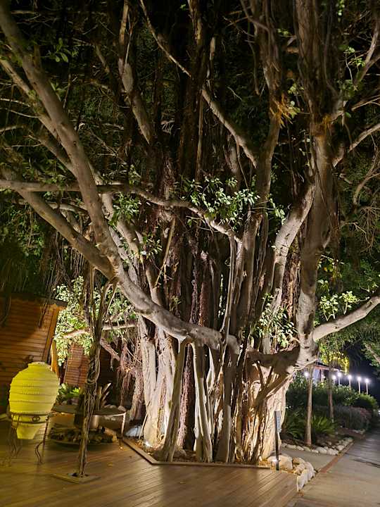 Außenansicht Side Star Elegance