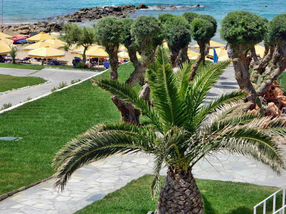 Sauber Mitsis Selection Rinela