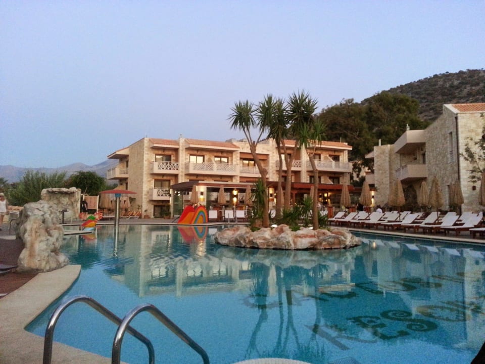 Ruhe pur Cactus Royal