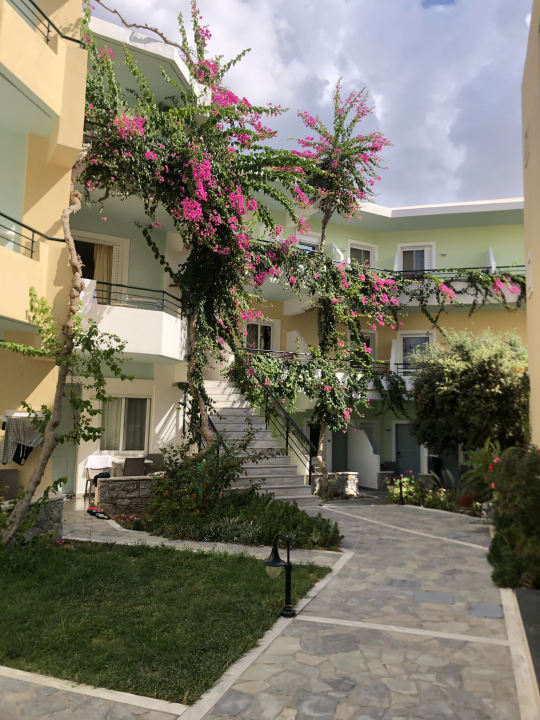 Zimmer Hotel Dedalos Beach