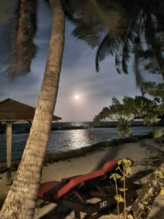 Strand Ellaidhoo Maldives by Cinnamon