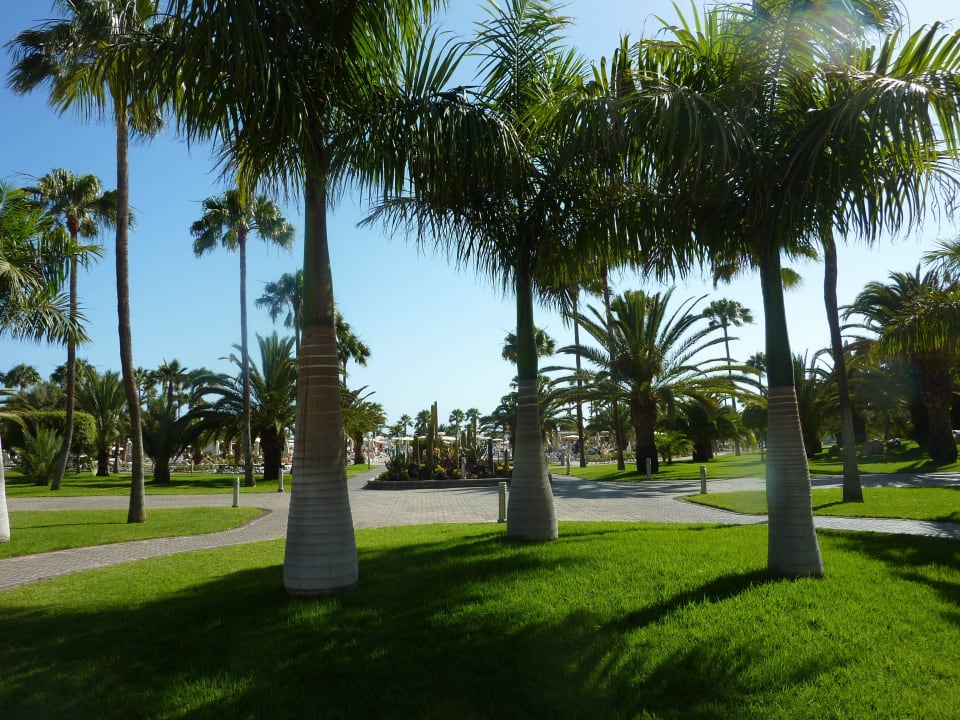 Hotelgarten Hotel Riu Gran Canaria