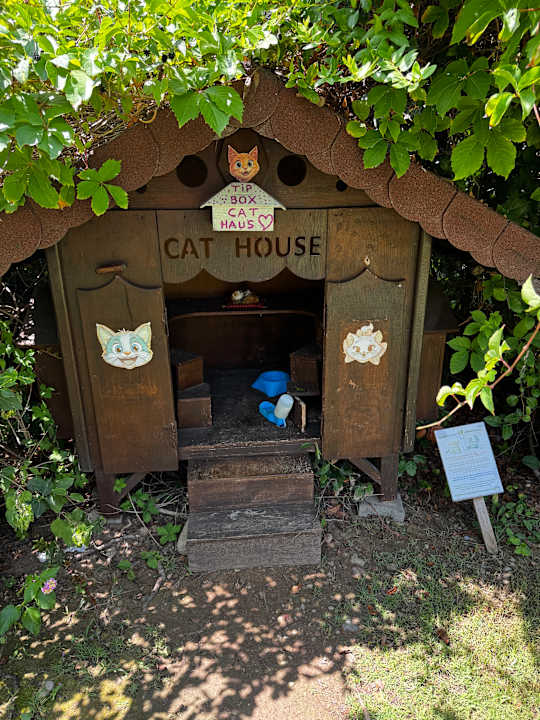 Sonstiges Saturn Palace Resort Hotel