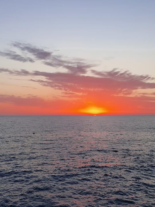 Ausblick Hotel Terme Royal Palm