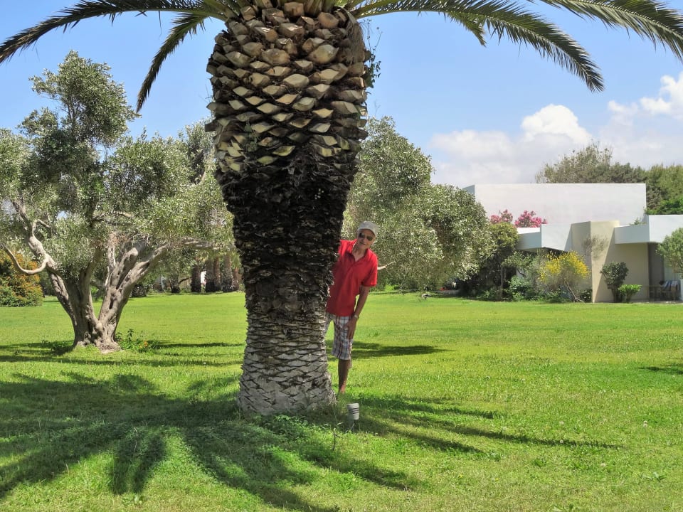 Schon Parkähnliche Anlage Caravia Beach Hotel