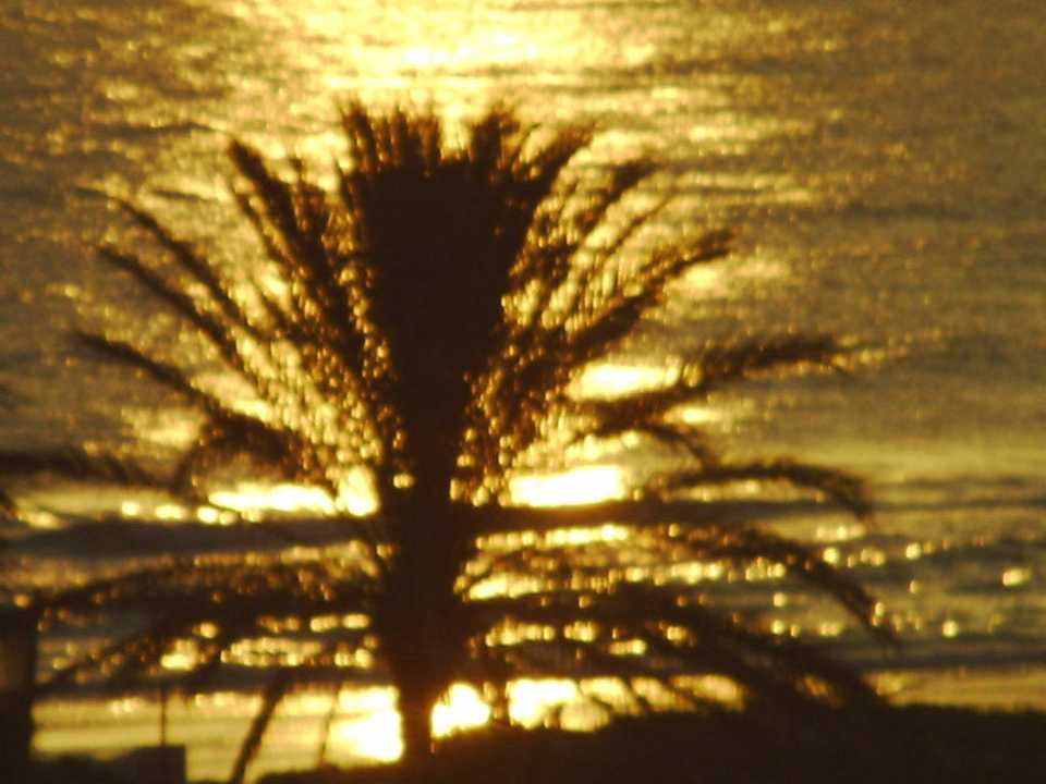 Ein Traum Mahdia Beach & Aquapark