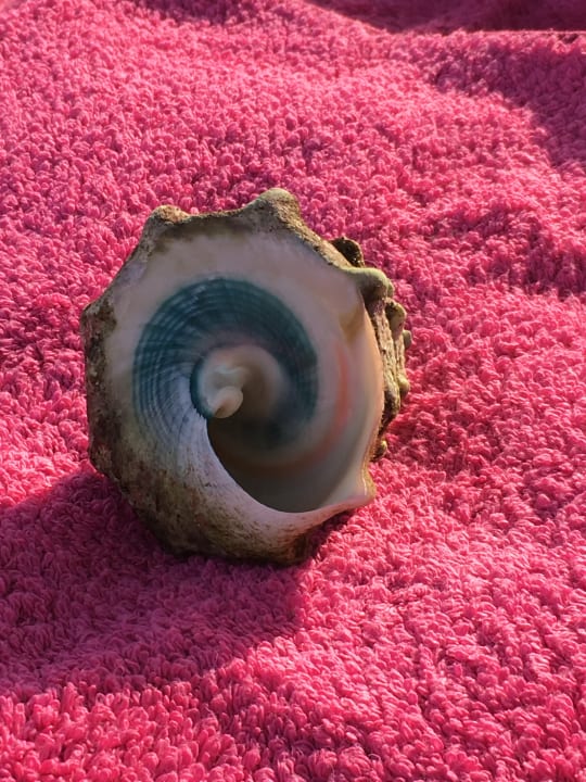 Strand Makadi Spa - Adults only