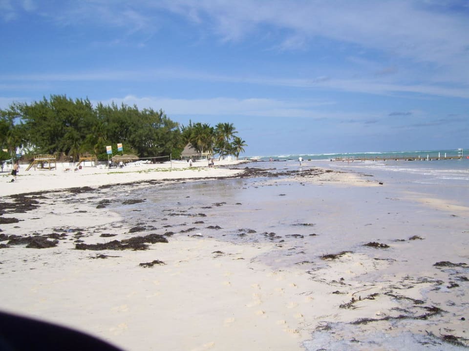 Nicht gut gelauntes Wetter  Secrets Royal Beach Punta Cana - Adults only