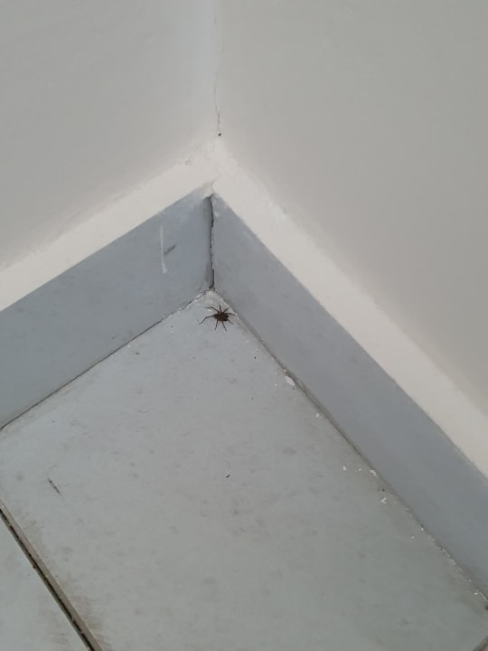 Zimmer Riviera Spa Resort - Adults Only