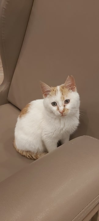 Sonstiges Limak Limra Hotel & Resort