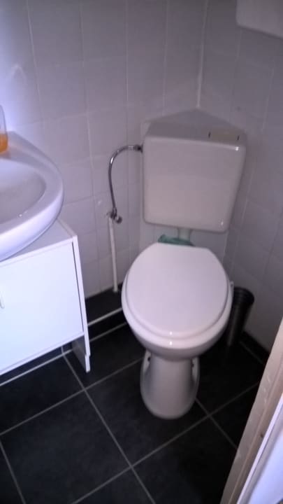 Zimmer Waldblick Appartement Familie Willam