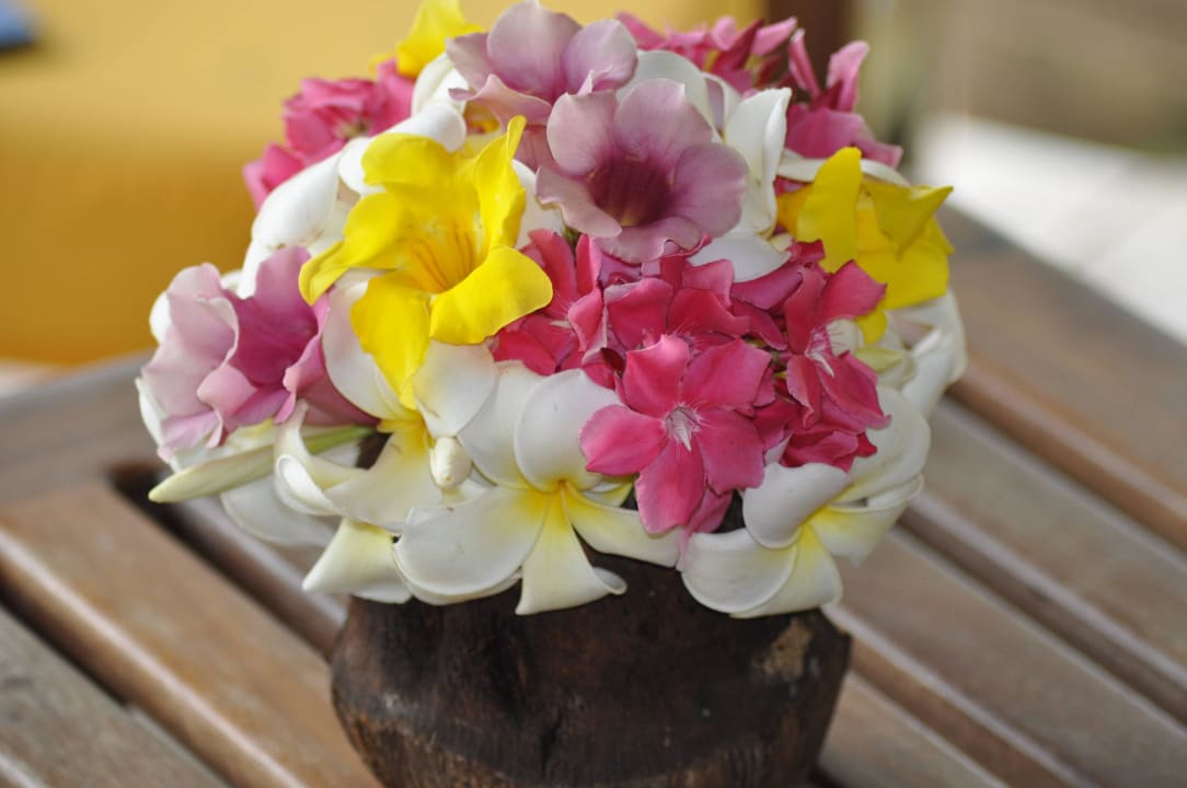 Hotel Neptune Paradise Beach Resort & Spa