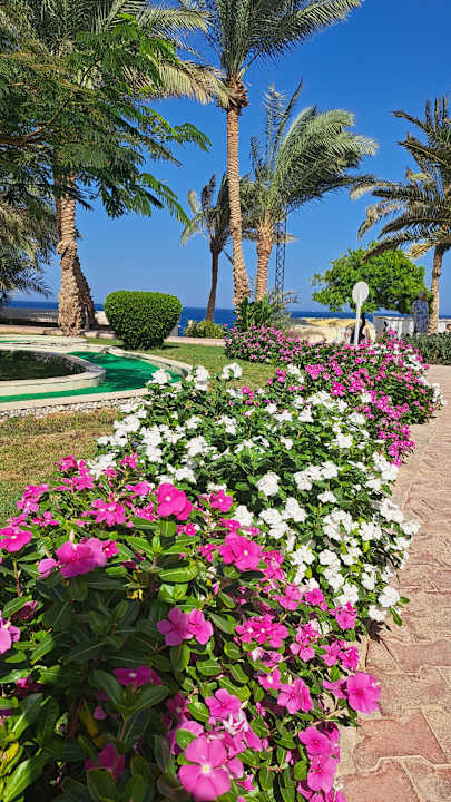 Gartenanlage Serenity Alpha Beach
