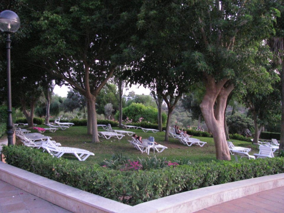 Liegeplätze Hotel Club Cala Romani