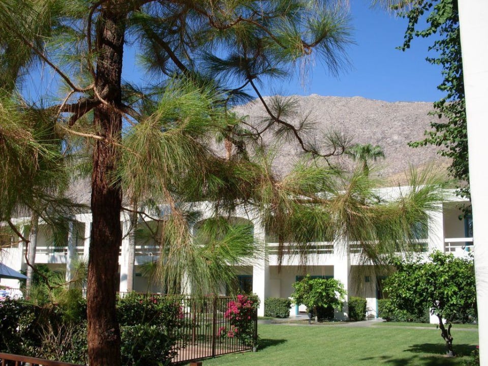 Gartenanlage Palm Mountain Resort & Spa