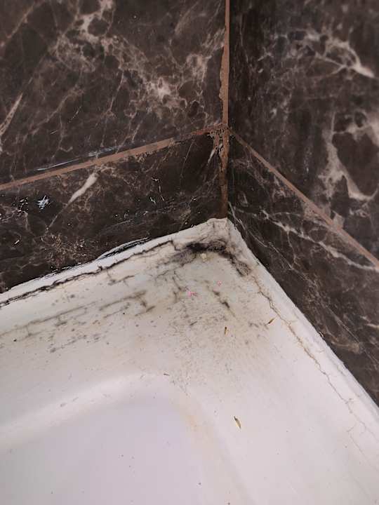 Zimmer Siam Elegance Hotels & Spa