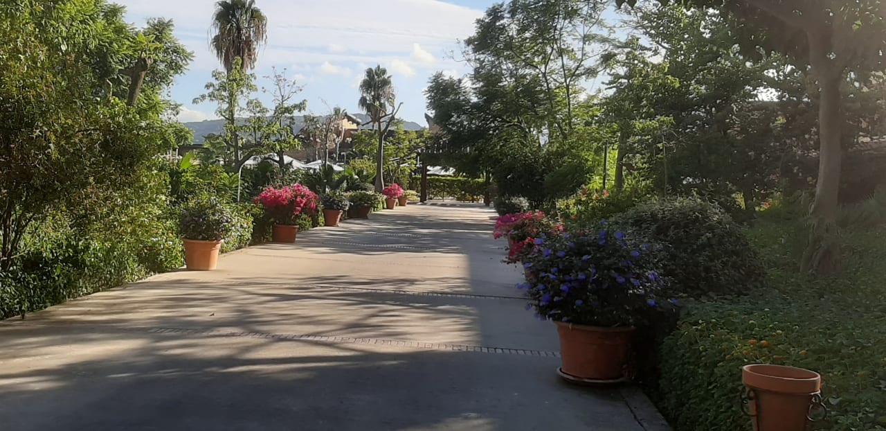 Gartenanlage TUI MAGIC LIFE Calabria