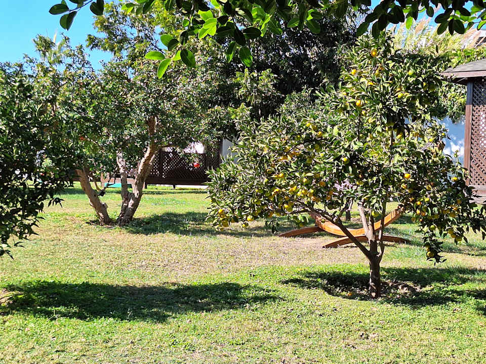 Gartenanlage Mary Hotel Side