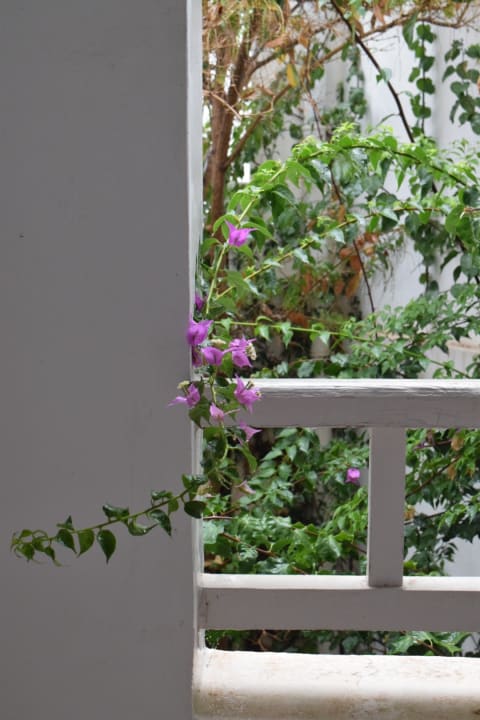 Zimmer Hotel Djerba Resort