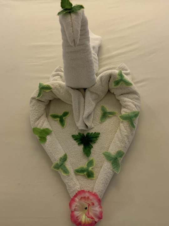 Zimmer Makadi Spa - Adults only