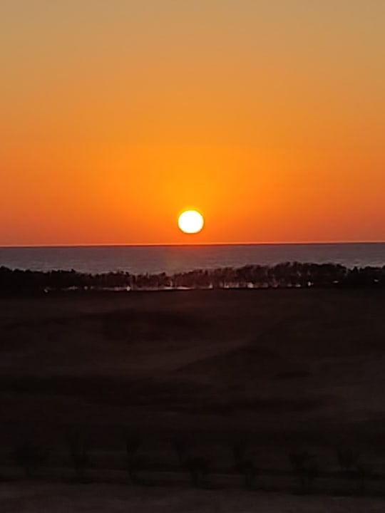 Ausblick Three Corners Fayrouz Plaza Beach Resort